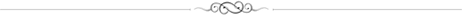 hrSwirlsHeader